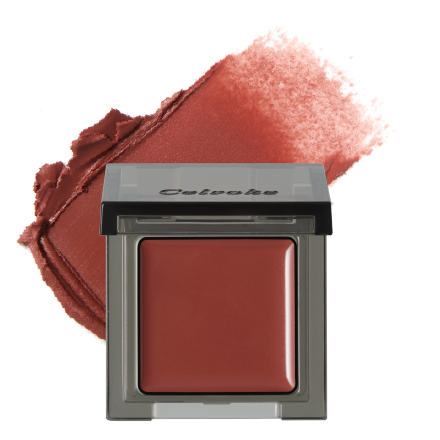 インフィニトリーカラー N 05 ブリックレッド