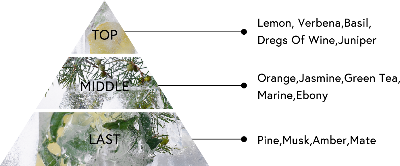 TOP:Lemon, Verbena,Basil,Dregs Of Wine,Juniper MIDDLE:Orange,Jasmine,Green Tea,Marine,Ebony LAST:Pine,Musk,Amber,Mate