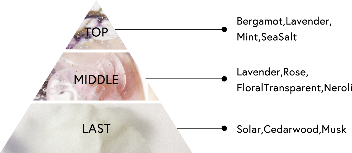 TOP:Bergamot,Lavender,Mint,SeaSalt MIDDLE:Lavender,Rose,FloralTransparent,Neroli LAST:Solar,Cedarwood,Musk